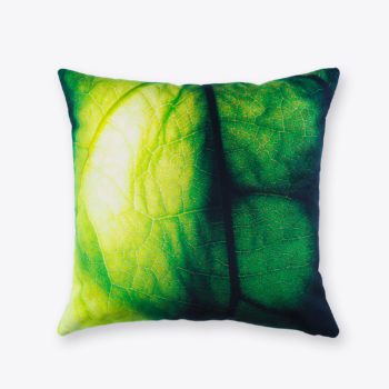 Coussin carré velours Nature