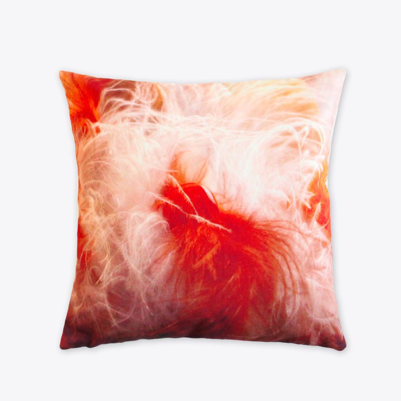 Coussin carré velours imprimé photo Plume